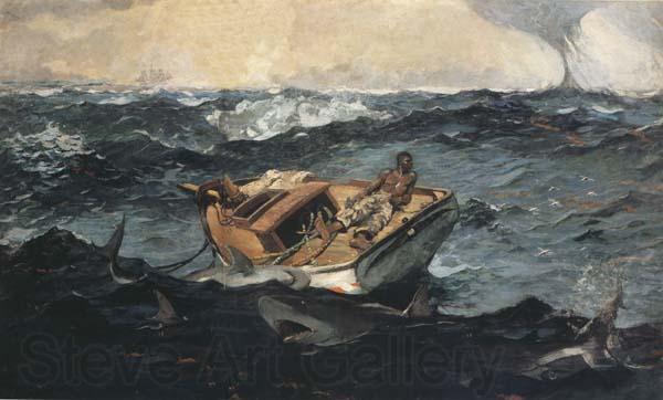 Winslow Homer The Gulf Stream (mk44) Spain oil painting art